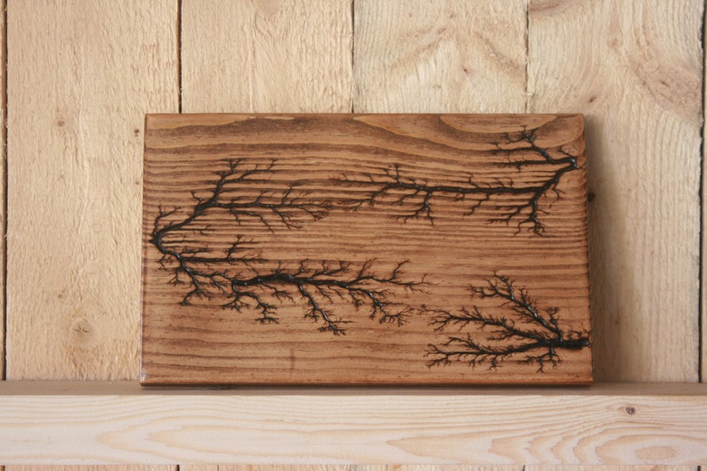 Fractal Wood Art struckbylightning Effect Etsy