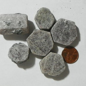 143 Grams Star ? Ruby 6 Crystals Cab Rough Specimens Gray Purple Sapphire