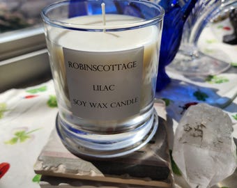 Costume made Soy Wax candle, 11oz, choose a fragrance, burn time 45 hours