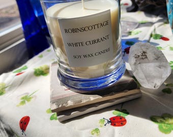 White Currant handmade soy wax candles, 11 oz , 45 plus hour burn time.