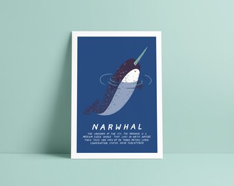 Narwhal Print A5, A4, Illustration, Giclée Fine Art Print, Unframed