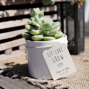 Set of 25- CUSTOMIZABLE Let Love Grow Succulent Wedding Favors Tags, Favours Tag