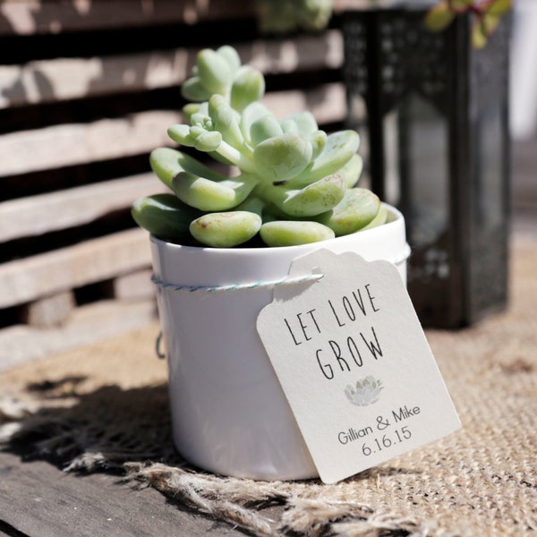 Conjunto de 25- CUSTOMIZABLE Let Love Grow Succulent Wedding Favors Tags, Favors Tag