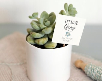 CUSTOMIZABLE Let Love Grow Tags | Wedding Succulent Favor Tags | Bridal Shower Plant Favor