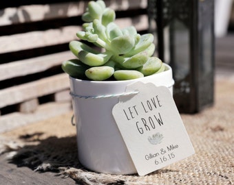 Set of 25- CUSTOMIZABLE Let Love Grow Succulent Wedding Favors Tags, Favours Tag