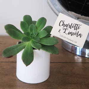 25 Let Love Grow Succulent Favor Tags, Wedding Favor tags image 1