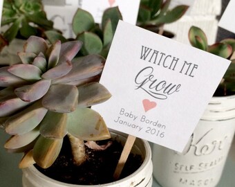 baby shower succulent tags