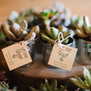 Set of 25 Custom Wedding favor TAGS Let Love Grow Succulent Favor Tags, Wedding Favor tag image 2