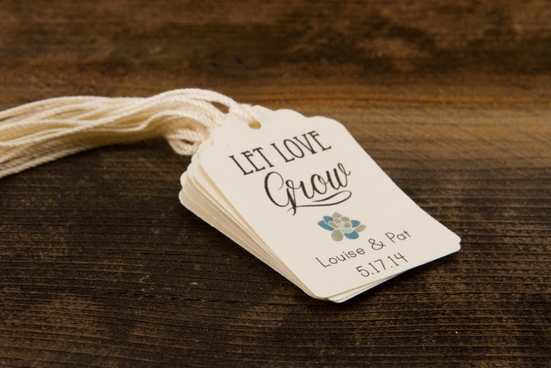 Set of 25 Custom Wedding favor TAGS Let Love Grow Succulent Favor Tags, Wedding Favor tag image 3