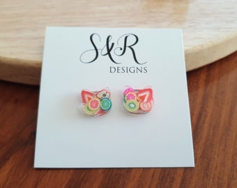 Fruit Salad Cat Earrings, Cat Polymer Fruit Resin Stud Earrings, Earrings made with Stainless Steel.