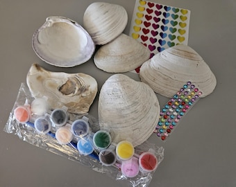 Bulk Shells, Art Kits for Kids and Adults, DIY Painting Sets, Craft Supplies