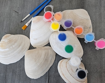 Bulk Shells, Art Kits for Kids and Adults, DIY Painting Sets, Craft Supplies