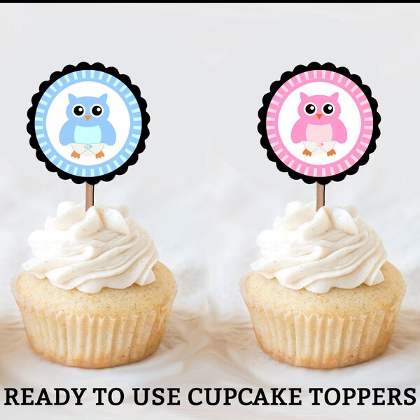 Owl Cupcake Toppers Owl Theme Gender Reveal Cupcake Toppers Gender Reveal Decorations Gender Reveal Ideas Party Favors Pink & Blue Owls