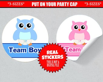Gender Reveal Stickers Pink and Blue Owls Party Favors Owl Theme Gender Reveal Ideas Weatherproof Stickers Boy or Girl Stickers