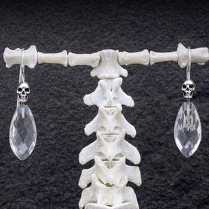 May include: A pair of silver skull earrings with clear crystal teardrop dangles hanging from a white skeletal display stand.