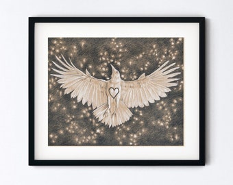 White Raven Heart Original Drawing - Albino Crow and Starry Sky Art - Realistic Handmade Pencil Sketch - 8x10 Artwork With 11x14 Mat Option