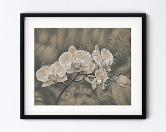 Orchid Drawing Art Print - Exotic Tropical Flower Botanical Pencil Sketch - Handmade 8x10 Artwork With 11x14 Mat Option