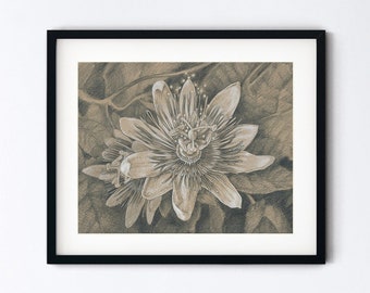 Passion Flower Art Print - Exotic Tropical Botanical Drawing - Blossom Pencil Sketch Realism - Handmade 8x10 Artwork With 11x14 Mat Option