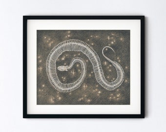 Snake Skeleton Original Drawing - Serpent and Stars Art - Handmade Pencil Sketch Magic Realism - 8x10 Artwork With 11x14 Mat - Goth Gift