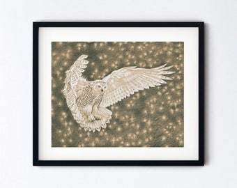 Snowy Owl Original Drawing - Flying Bird and Stars Art - Handmade Pencil Sketch Magic Realism - 8x10 Artwork With 11x14 Mat - Unique Gift