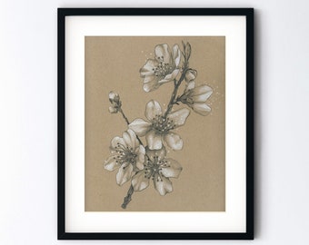 Cherry Blossoms Art Print - Spring Flowers Monochrome Drawing - Botanical Pencil Sketch Gift - Handmade 8x10 Artwork With 11x14 Mat Option