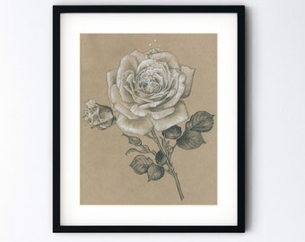 Rose Art Print - Flower Monochrome Drawing - Botanical Pencil Sketch Realism - Romantic Gift - Handmade 8x10 Artwork With 11x14 Mat Option