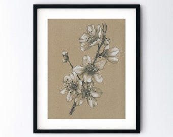 Cherry Blossoms Original Pencil Drawing - Japanese Flower Sketch - 9x12 Floral Realism Study with 11x14 Mat - Handmade One of a Kind Artwork