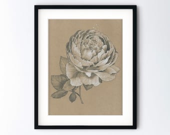 Peony Flower Art Print - Spring Blossom Monochrome Drawing - Botanical Pencil Sketch Realism - Handmade 8x10 Artwork With 11x14 Mat Option