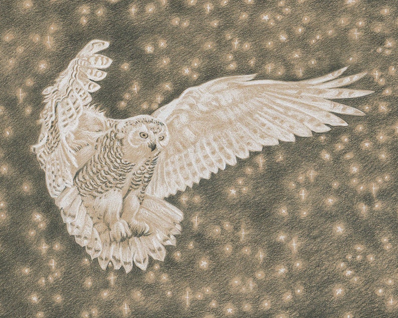 Snowy Owl Original Drawing Flying Bird and Stars Art Handmade Pencil Sketch Magic Realism 8x10 Artwork With 11x14 Mat Unique Gift image 2