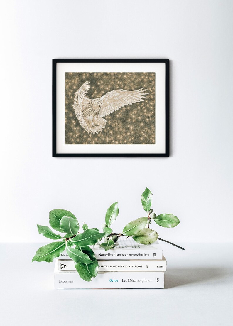 Original handmade drawing of a white Snowy Owl on paper pencil and white charcoal monochrome magic realism one of a kind art by California artist Genie Melisande, Flying albino owl at night artwork wildlife bird sketch, traditional art, magic realism