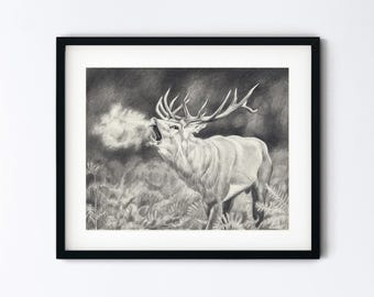 Dibujo original de un alce bramando - Ciervo en el bosque - Boceto a lápiz realista hecho a mano - Obra de arte de 8 x 10 con opción de tapete de 11 x 14 - Único en su tipo
