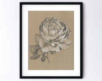 Peony Flower Art Print - Spring Blossom Monochrome Drawing - Botanical Pencil Sketch Realism - Handmade 8x10 Artwork With 11x14 Mat Option