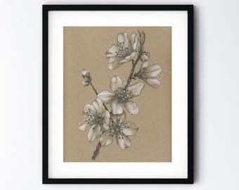 Cherry Blossoms Art Print - Spring Flowers Monochrome Drawing - Botanical Pencil Sketch Gift - Handmade 8x10 Artwork With 11x14 Mat Option