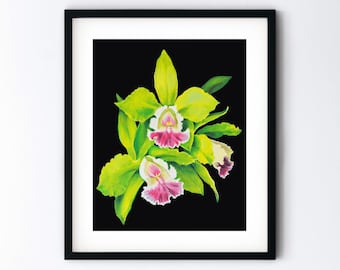 Tropical Botanical Art Print - Green Cymbidium Orchids Oil Painting - Handmade Orchid Artwork - 8x10 or 8.5x11 Print with 11x14 Mat Option