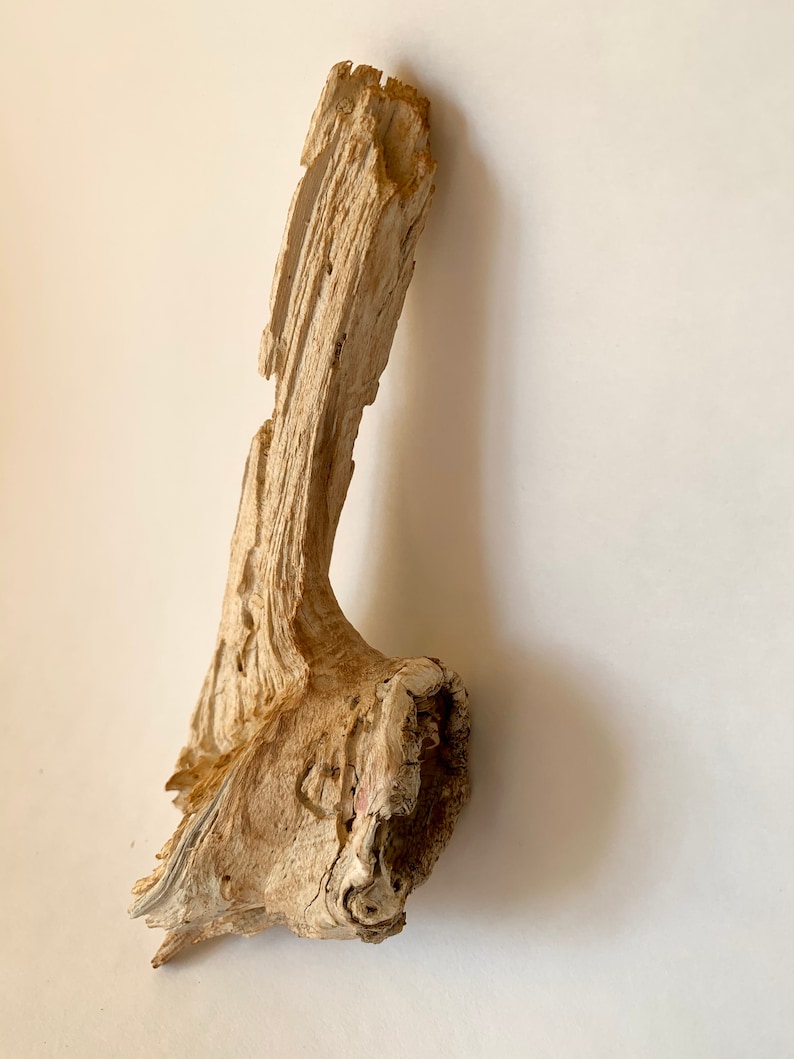 Dry Wood Branch Small Wooden Floral Decor Natural Wood Home Etsy