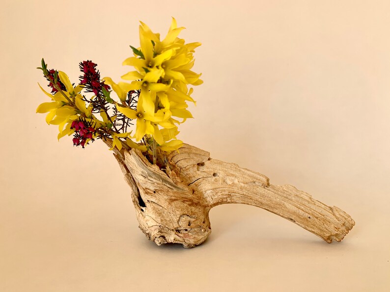 Dry Wood Branch Small Wooden Floral Decor Natural Wood Home Etsy