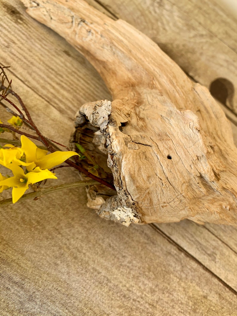 Dry Wood Branch Small Wooden Floral Decor Natural Wood Home Etsy