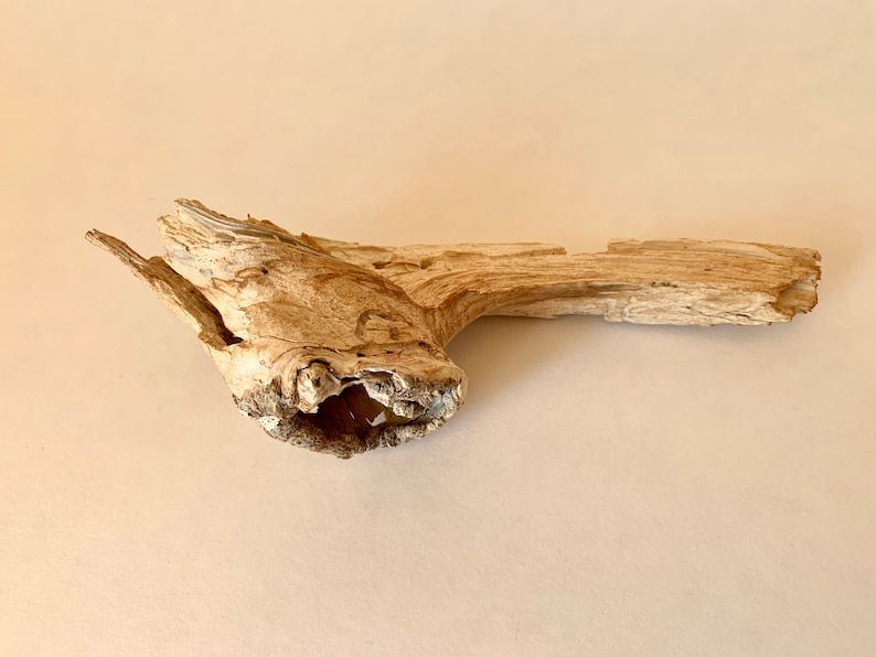 Dry Wood Branch Small Wooden Floral Decor Natural Wood Home Etsy