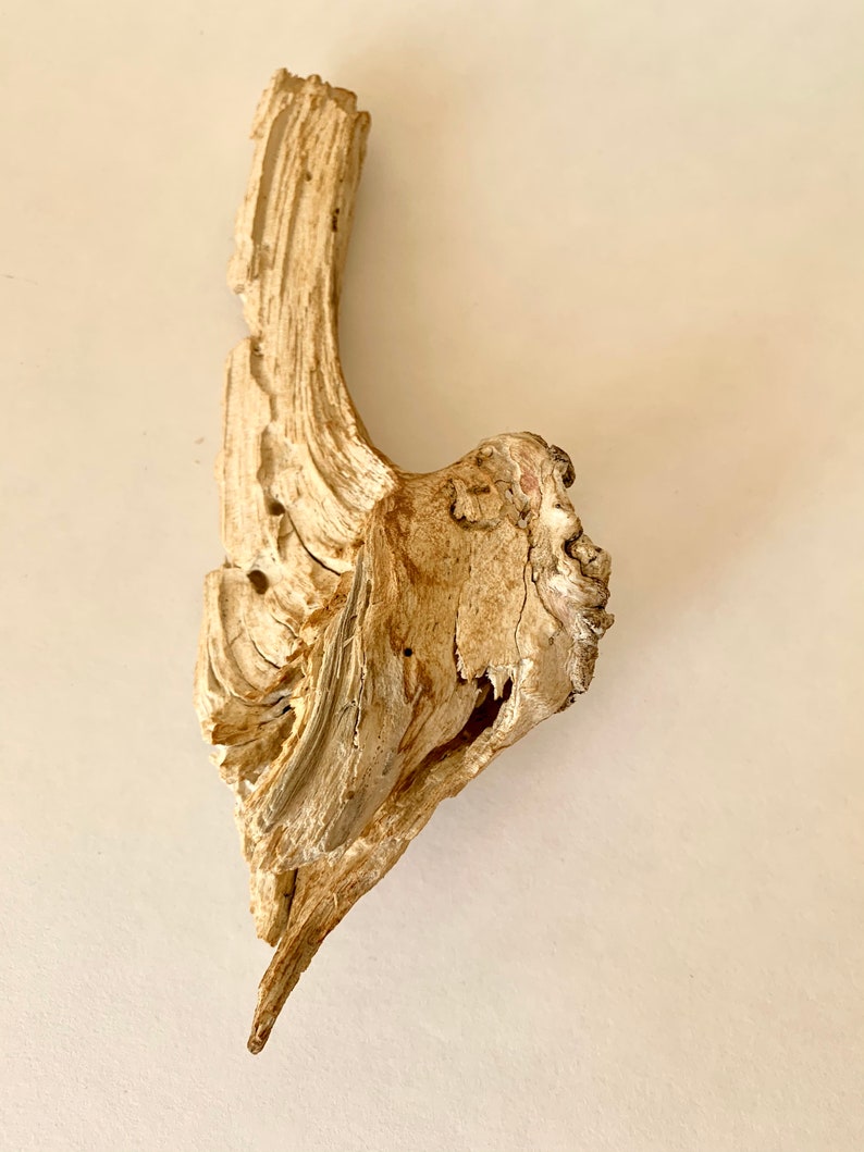 Dry Wood Branch Small Wooden Floral Decor Natural Wood Home Etsy