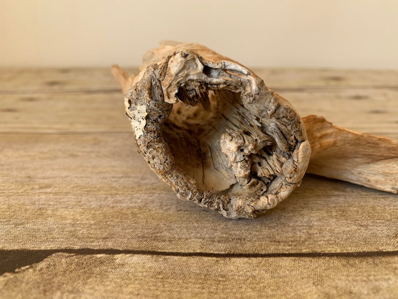 Dry Wood Branch Small Wooden Floral Decor Natural Wood Home Etsy