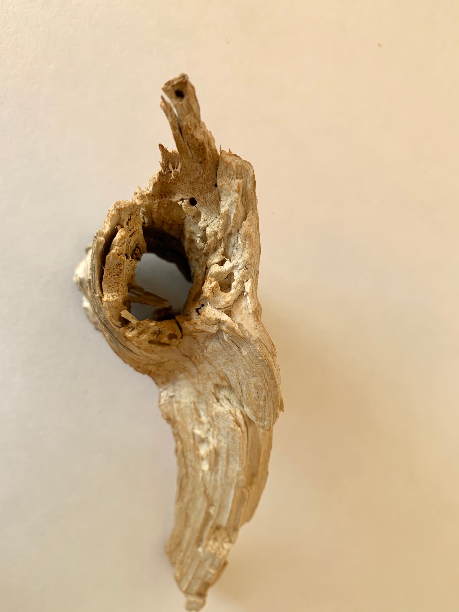 Dry Wood Branch Small Wooden Floral Decor Natural Wood Home Etsy