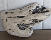 rustic driftwood, driftwood pieces, beach decor, beach wood, aquarium, terrarium, air plant base, beach sculpture, beach craft supplies