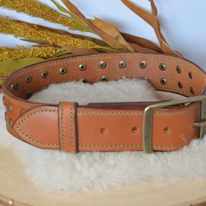 Source Luxury designer pet puppy brown vegetable tanned tan leather dog  collar staffy with belt buckle on m.