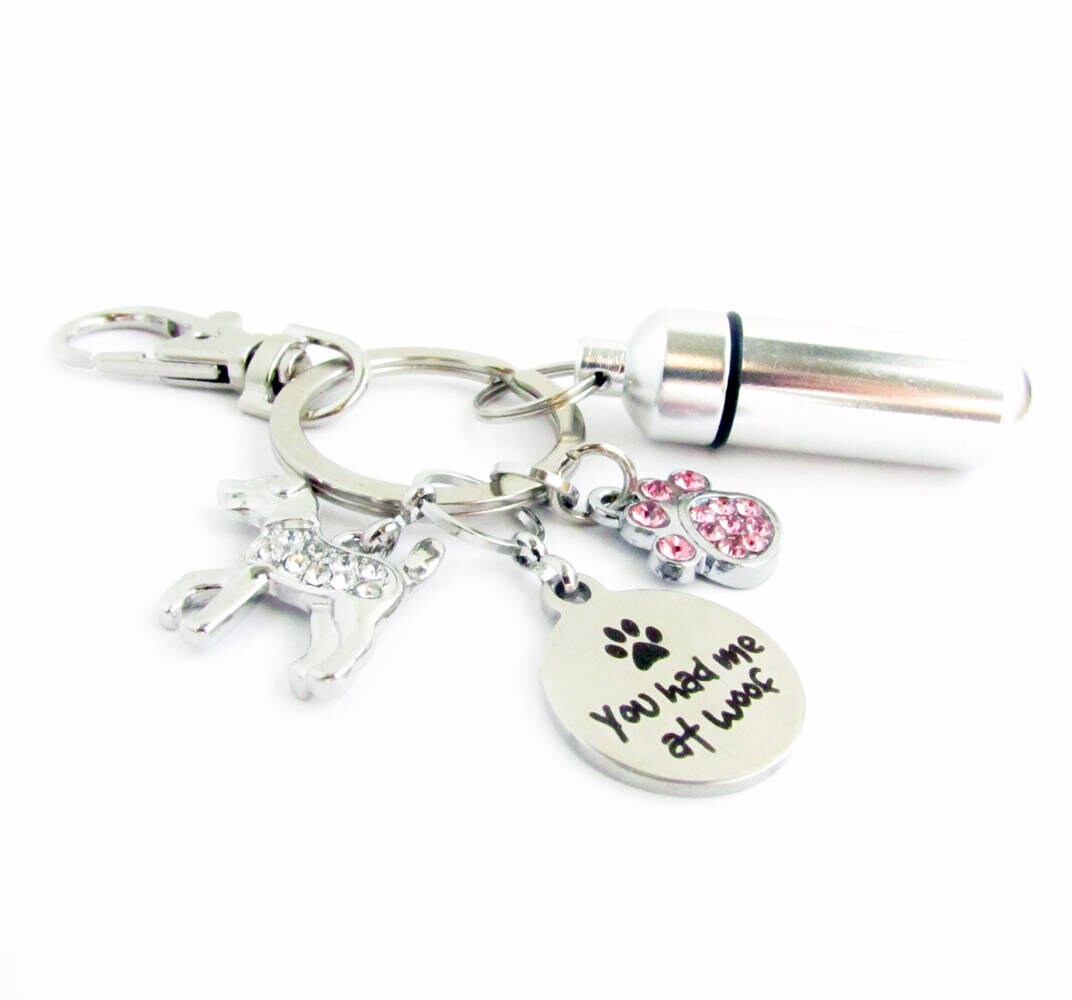 Pet Ashes Keychain Urn Keychain Pet Loss Keychain Paw Etsy