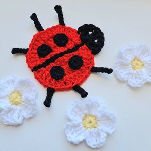 May include: A red crocheted ladybug with black spots and legs, surrounded by three white crocheted flowers with yellow centers.