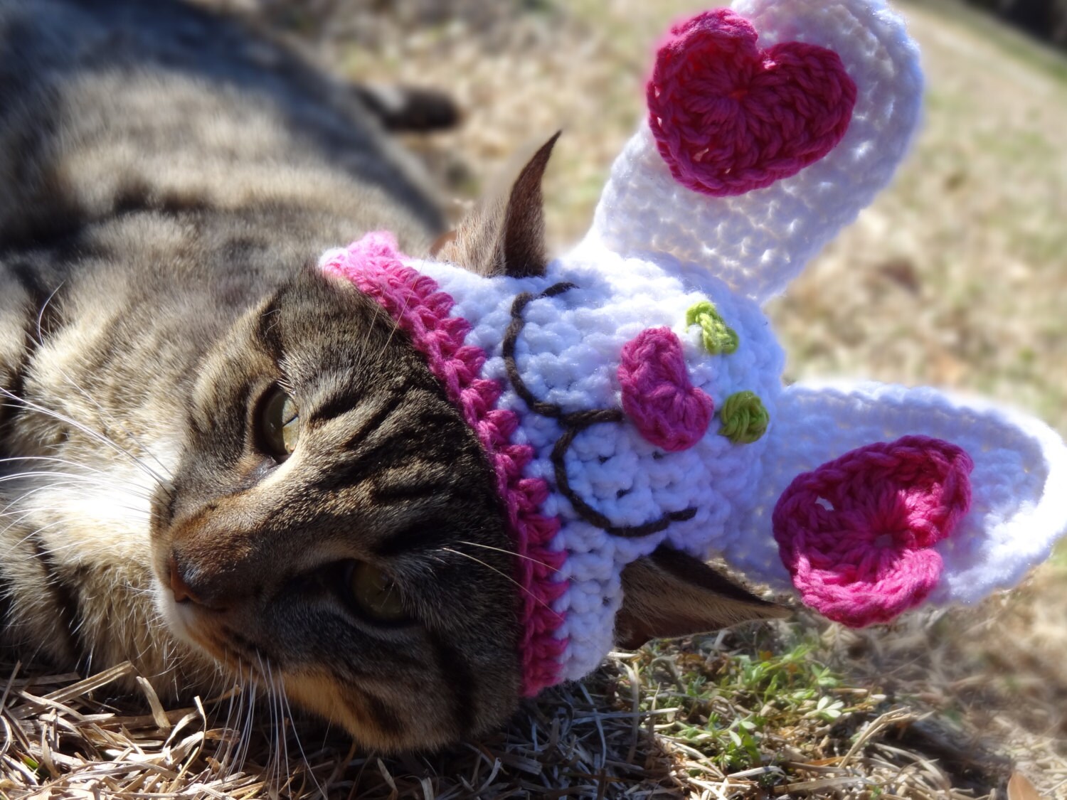 Bunny Cat Hat Bunny Cat Costume Bunny Hat for Cats Easter Etsy