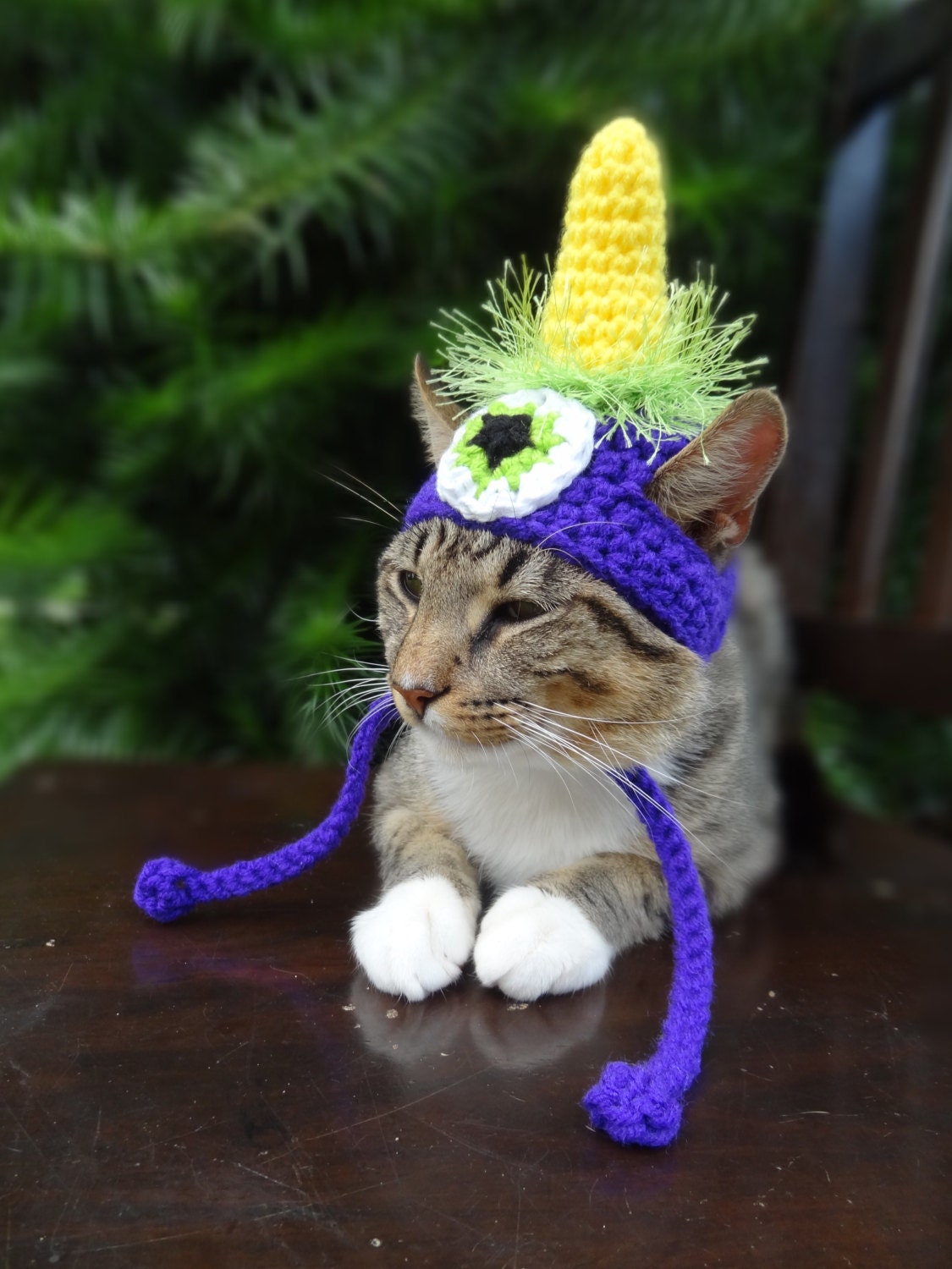 Cat Hat Cat Costume Halloween Costume for Cat Halloween Cat