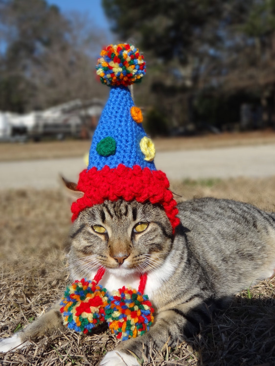 Pet Birthday Hat Party Hat for Cats Party Hat for Dogs Cat Etsy