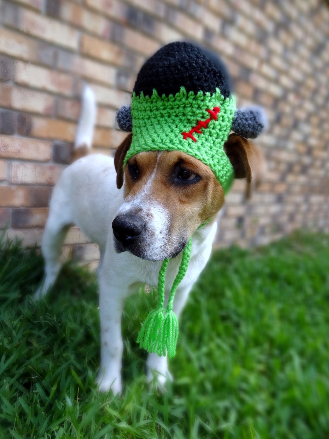 Frankenstein Dog Hat Costume The Frankenstein Halloween Etsy