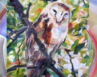 BARN OWL - Limited Edition Reproduction
